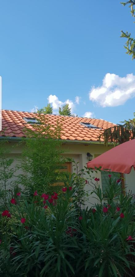Fuered Deluxe Garden Apartment Balatonfured Exterior photo